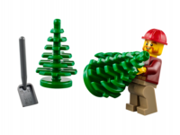 Конструктор Lego Лесовоз City 60059