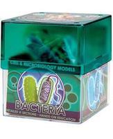 Обучающий набор "Бактерия" Professor Ein-O E2371BA