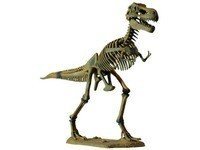 Большая модель скелета динозавра - Тираннозавр Dino Horizons D501