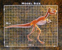 Большая модель скелета динозавра - Тираннозавр Dino Horizons D501