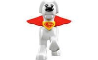Конструктор LEGO Super Heroes Команда Супермена и Крипты (76096)