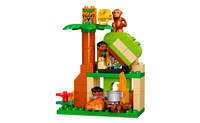 Конструктор Lego Duplo Джунгли (10804)